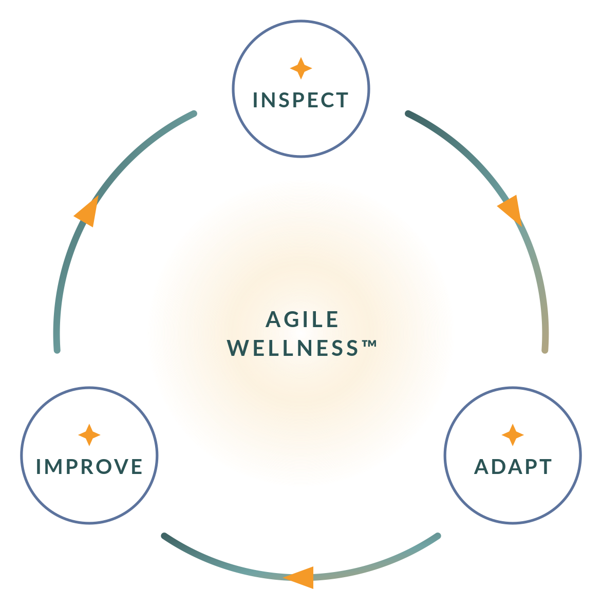 The Agile Wellness cycle: Inspect, Adapt, Improve, repeating